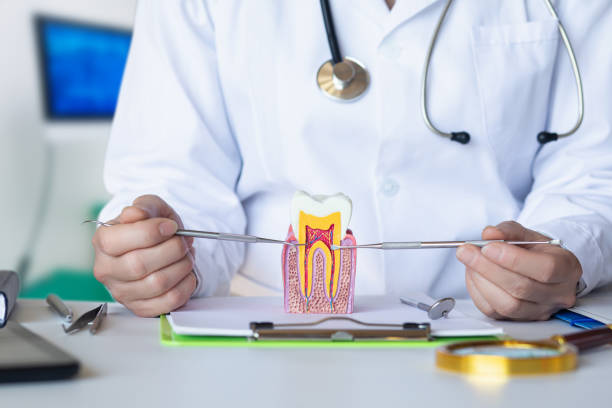 Best Broken or Chipped Tooth Repair in Gentry, AR